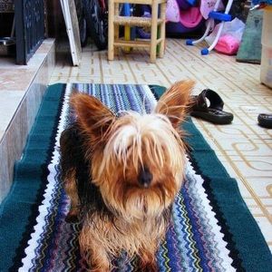 Meet your Posher, Joaquin